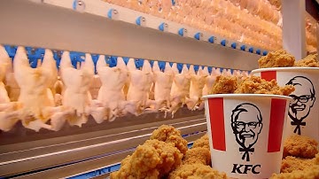 Rahasia Produksi Ayam KFC TERUNGKAP! 🐔🍗 Dari Peternakan Hingga siap dimakan!