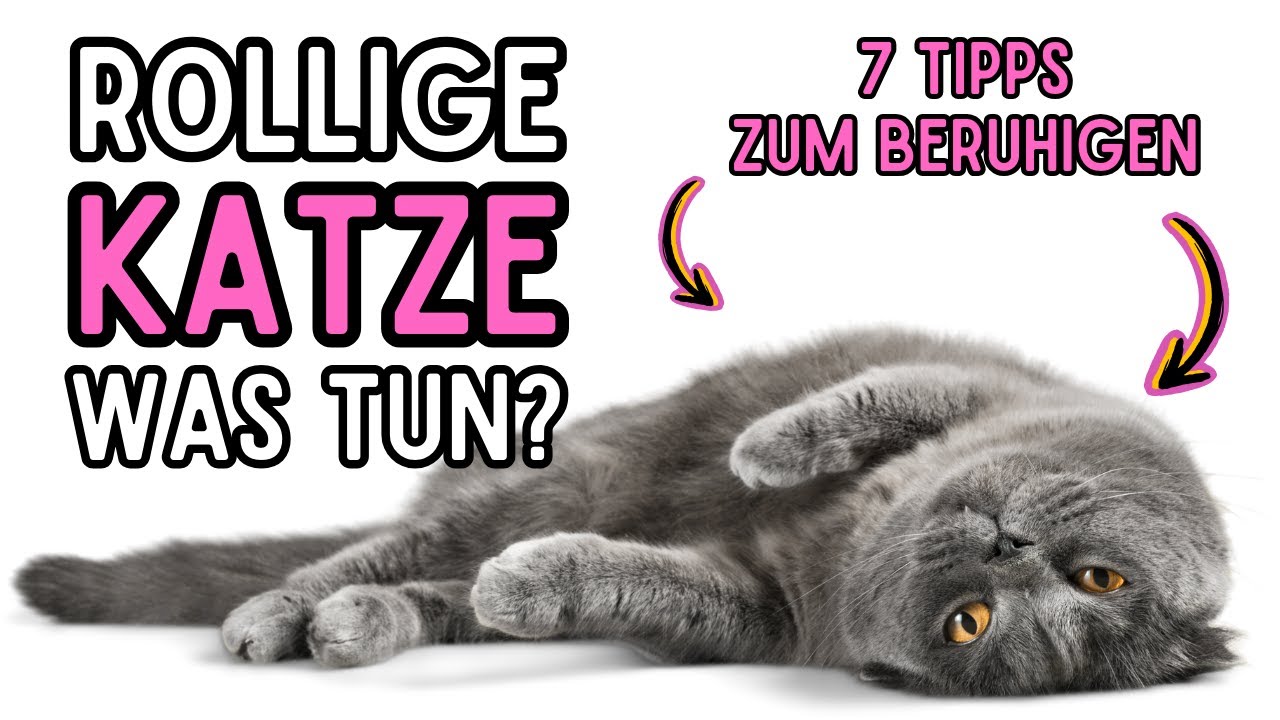Rde Ist Rollig