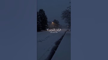 يابني اقم الصلاة وامر بالمعروف | ياسر الدوسري |سورة لقمان❤️🖤
