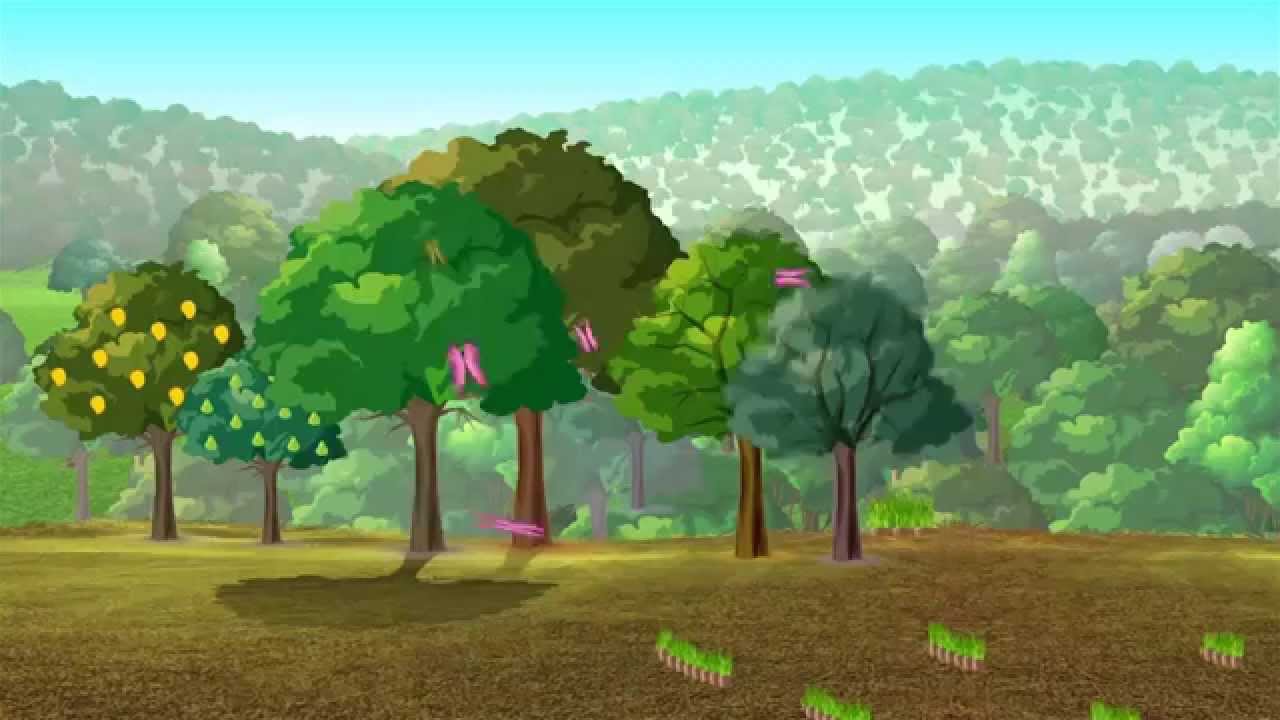 RDPB สื่อสร้างสรรค์ ศูนย์ศึกษาการพัฒนาห้วยทรายอันเนื่องมาจากพระราชดำริ