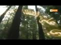 اذان العصر بصوت الشيخ سيد النقبشندي على قناة الحياة سينما قديم 2014 