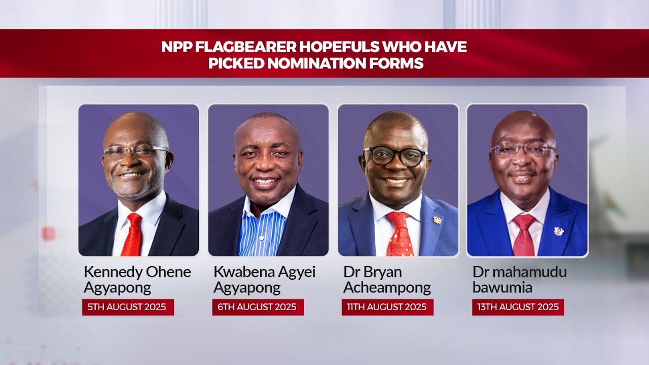 So who leads the NPP in 2028 flagbearership race