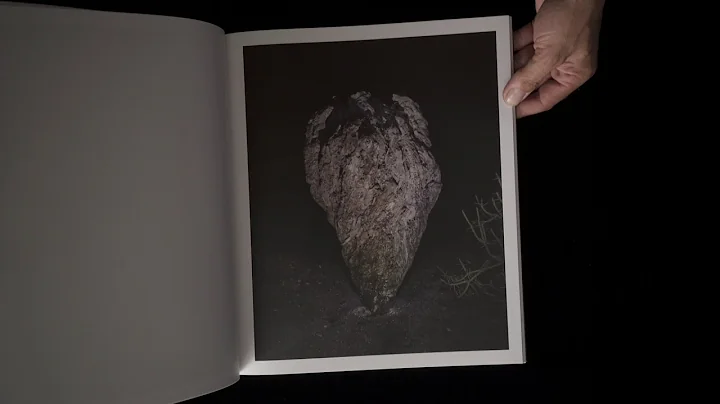Talking in the Library - Michael Lundgren's "Geoma...