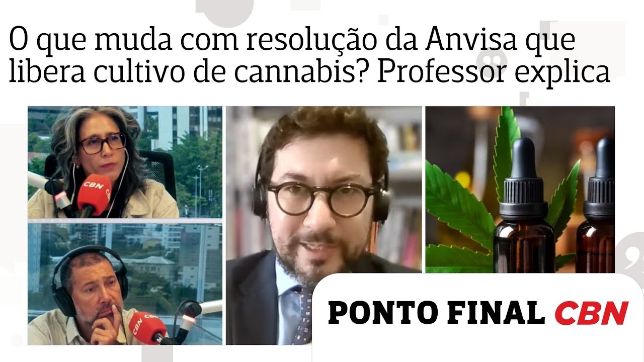 O que muda com resolução da Anvisa que libera cultivo de cannabis? Professor de Bioética explica