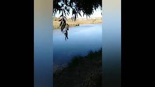 BUENOS AIRES , Descubriendo Oriente