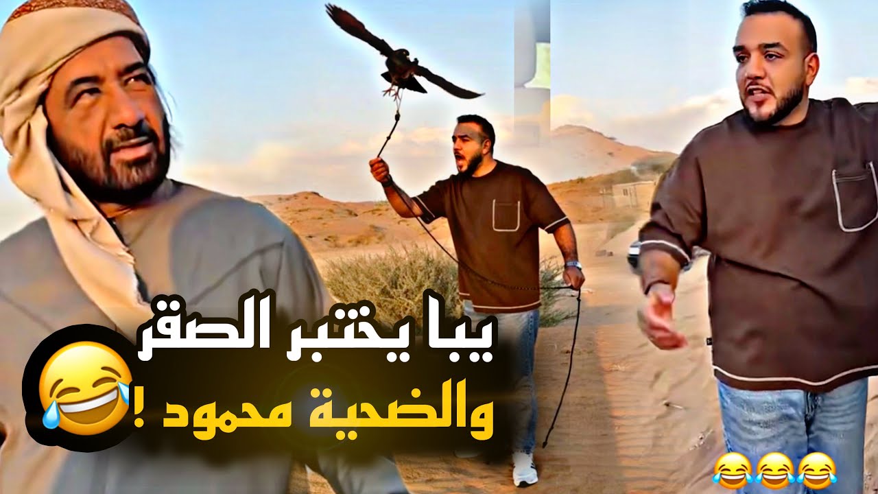 يبا يختبر الصقر والضحية محمود 😂😂😂 - YouTube