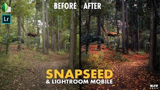 DRAMATIC EVENING LOOK in SNAPSEED and LIGHTROOM MOBILE (free version) | Android | iPhone screenshot 5