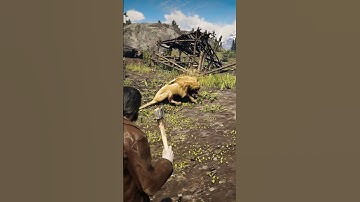 Part 18 Learn great survival skills , #shorts