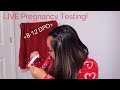 LIVE Pregnancy Testing 8-12 DPO