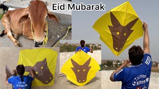Bachra kite making and flying test - Eid Mubarak - Big kite Making tutorial - kite diy crafts- kite