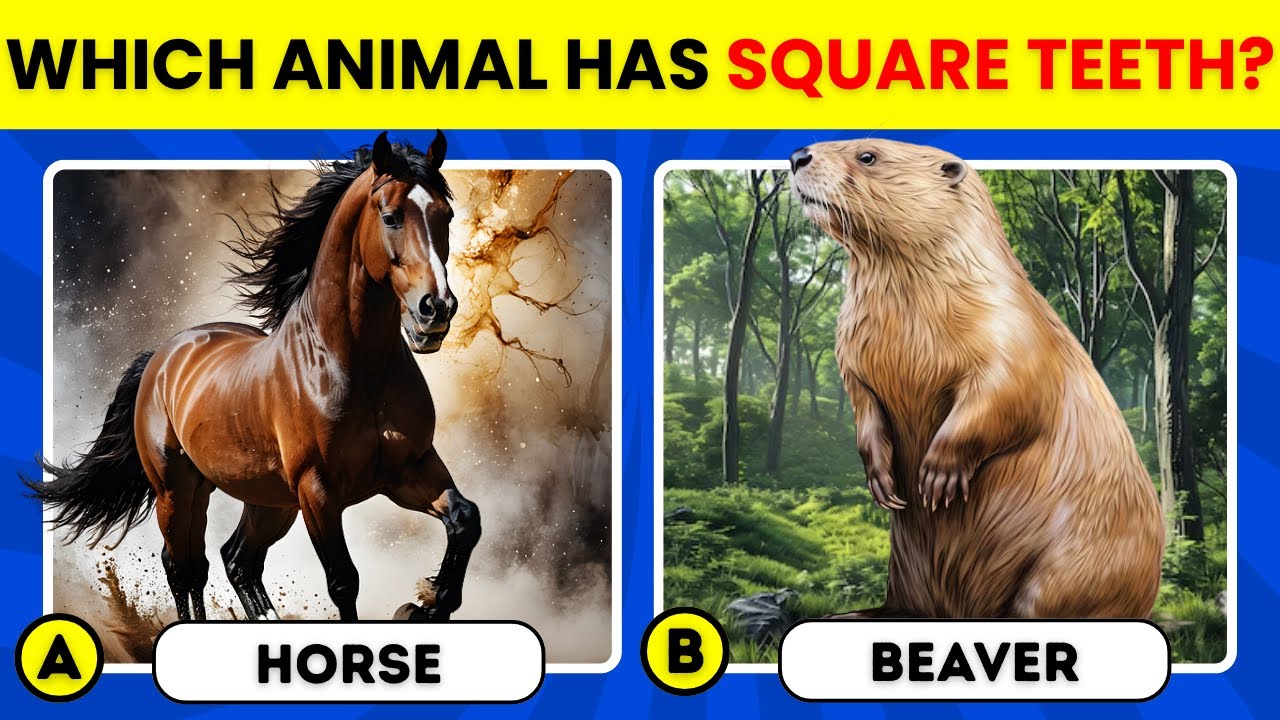Only Animal Lovers Can Score 40/40 🐶🦁 | GK Quiz 2026