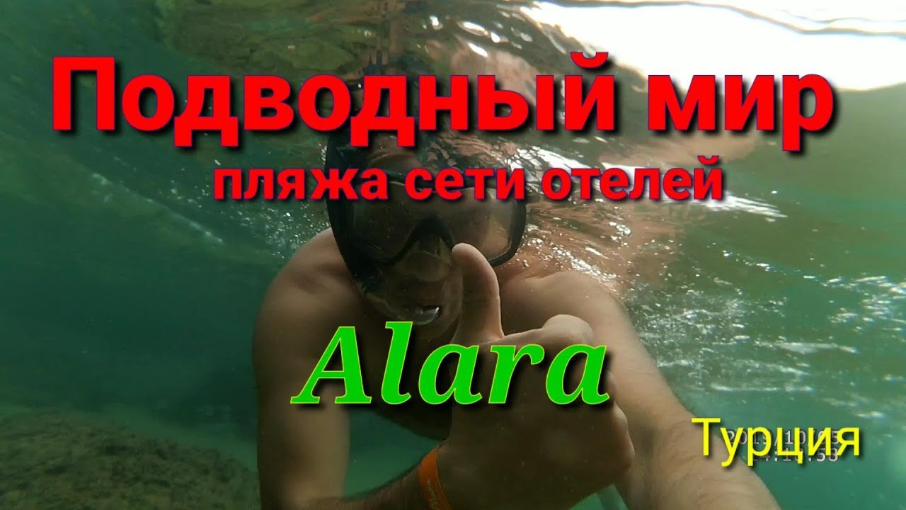 Турция.Подводный мир Инжекума в октябре.Пляж отелей сети Alara
