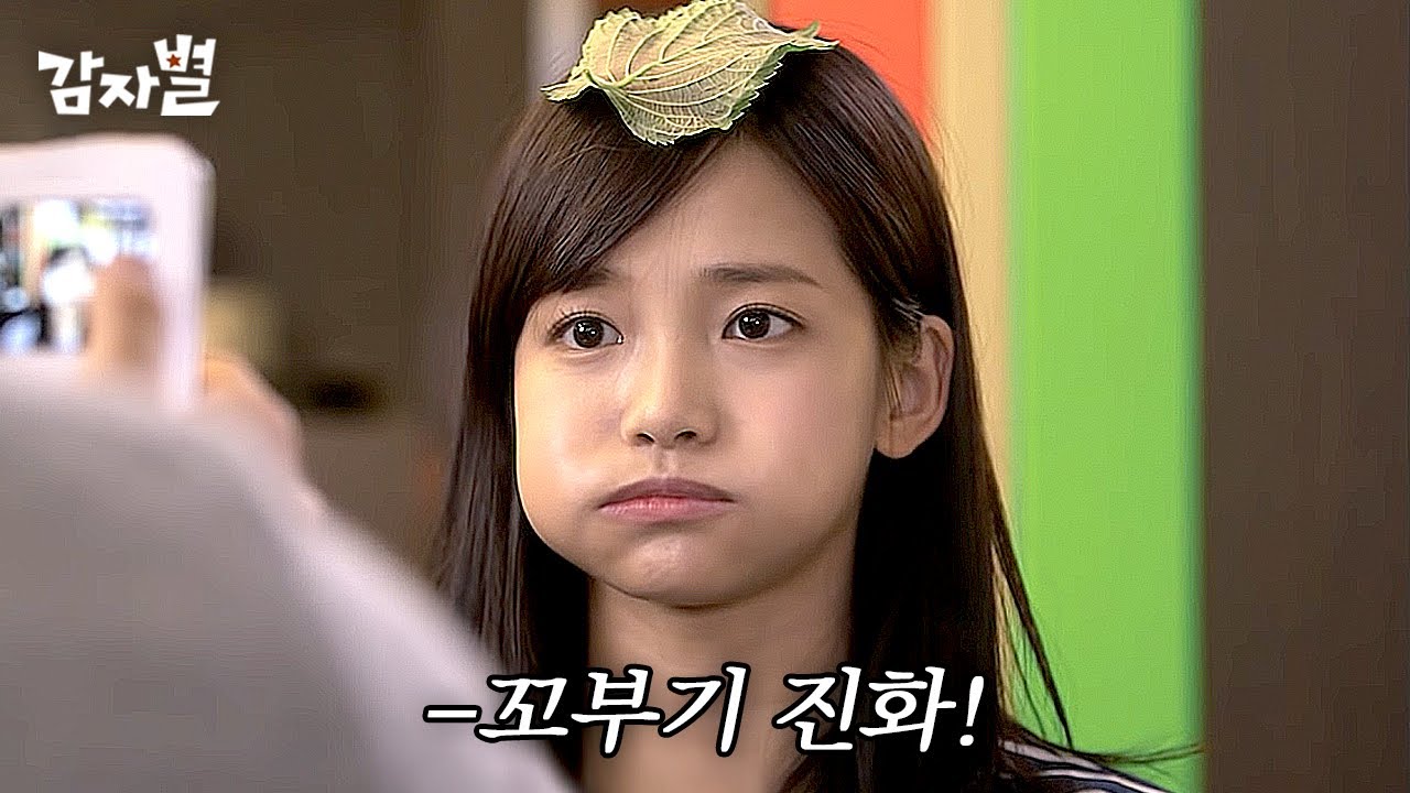 [#감자별] 결국 진짜 꼬부기가 되어버린 하연수 | 시간도둑