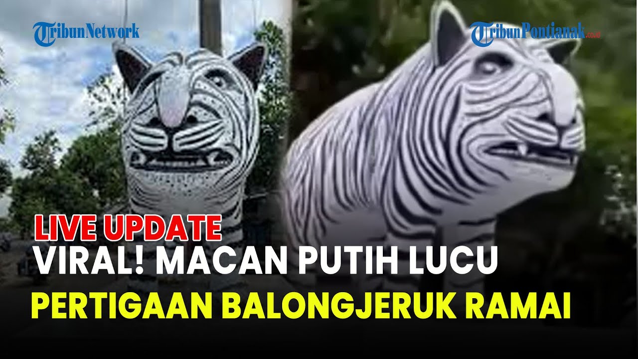 🔵 PERTIGAAN DESA BALONGJERUK KEDIRI RAMAI, PATUNG MACAN PUTIH GEMUK VIRAL!