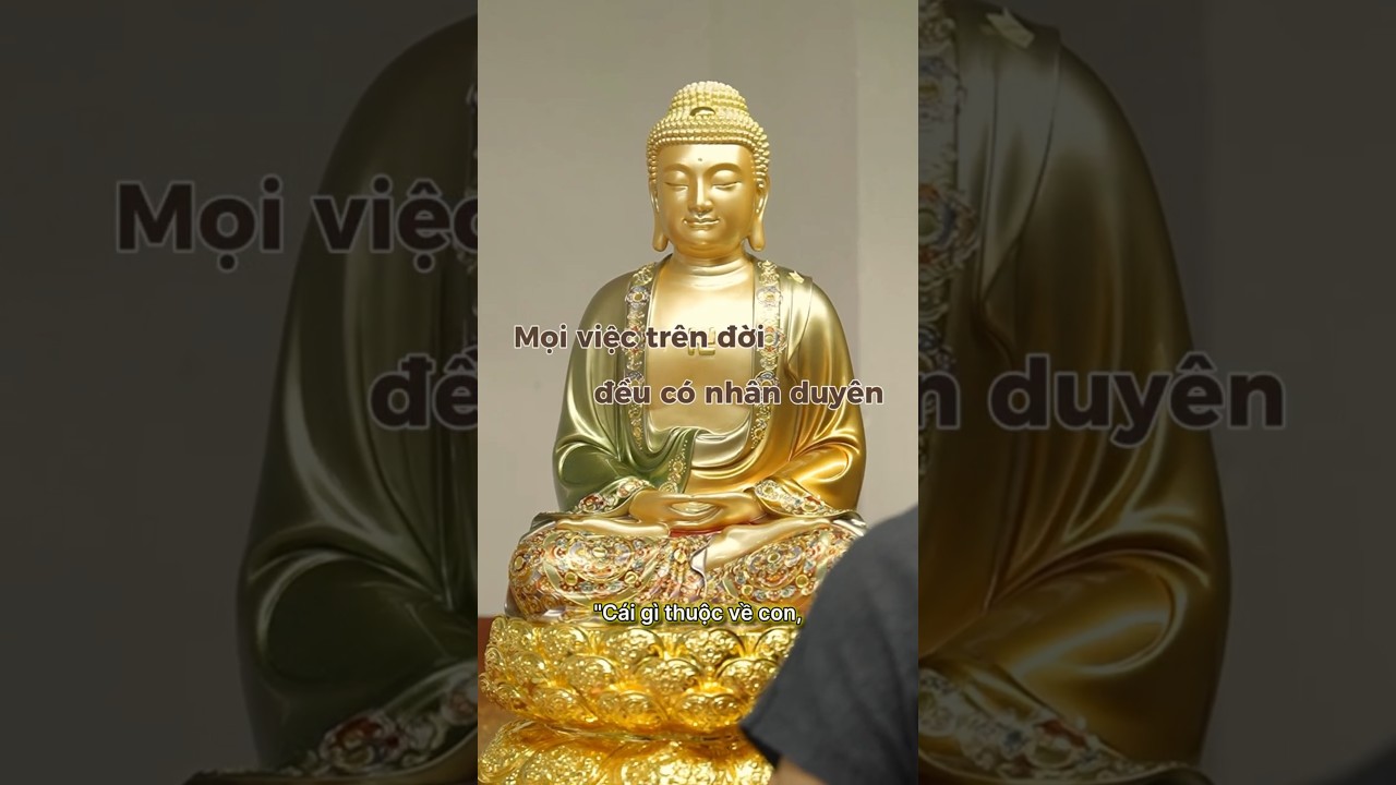 🙏 Mọi việc trên đời đều có nhân duyên. Niềm vui rồi sẽ qua, nỗi buồn cũng sẽ qua #phápduyênshop