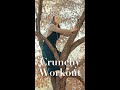 The crunchy mom workout routine