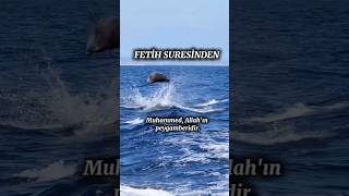 Fetih Suresinden bir kesit ve Türkçe meali, Kanala abone ol. #amin #ayet #quran #fetihsuresi #kuran