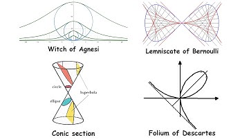 Every Algebraic Curve Explained