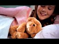 Little live pets  my dream puppy snuggles 30 tvc