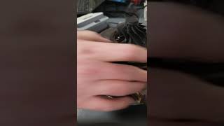 Banshee VGT controller testing ford 6.0 turbo