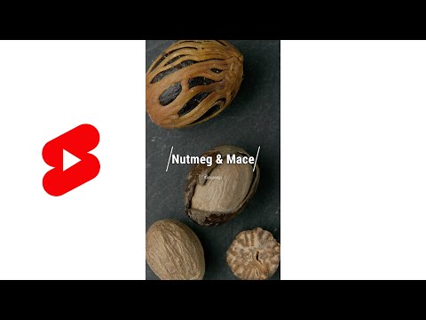 Nutmeg & Mace  #Shorts What Are They? How Are They Related? | Glen And Friends Cooking