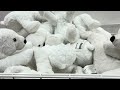 WanderNest Explores: Ultimate IKEA Tour in Hyderabad’s Hi-Tech City!