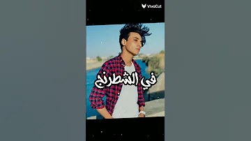 عصفوره بتنقل الكلام ده مش رجوله تصميم للقيصر 