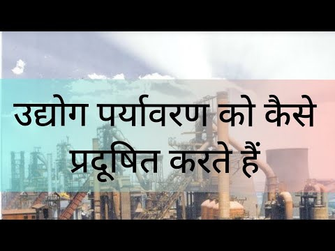 वीडियो: कागज पर्यावरण को कैसे प्रदूषित करता है?