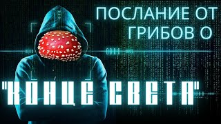 Конец света - заговорил! Ответ свыше! 6 минут сильнейшей МОТИВАЦИИ