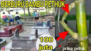Berburu Bambu Petuk Seharga 100 Juta !!! Di Tempat Paling Angker