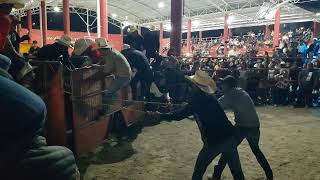 toro el látigo vs beybi de bella vista, torneo de ganaderos san Andrés teotilalpam