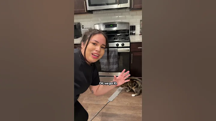 The Best Way To Get Those Hard To Reach Cat Toys | The Pack