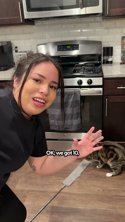 The Best Way To Get Those Hard To Reach Cat Toys | The Pack