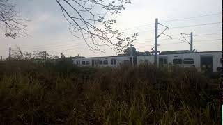 【倒數四天】3208次區間車水上—嘉義間(里山動物彩繪列車)