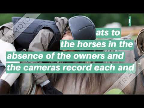 ISPY Wireless Horse Float Camera