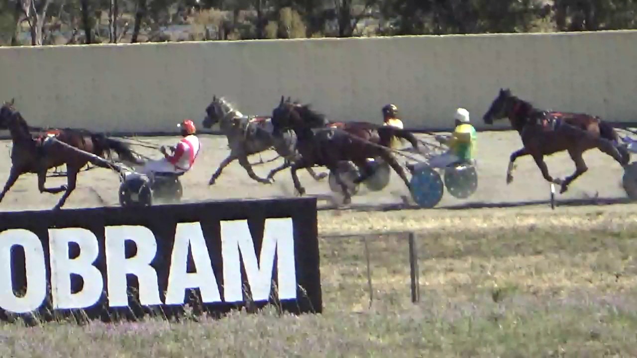 Cobram Harness Racing Trial 2 22012017 YouTube