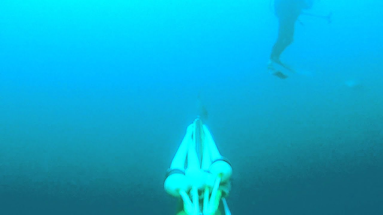 camera iphone 8 plus apk Shooting Almaco Jack in shark infested waters