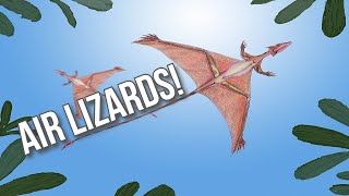 Air Lizards Evolution Of Flight In Reptiles