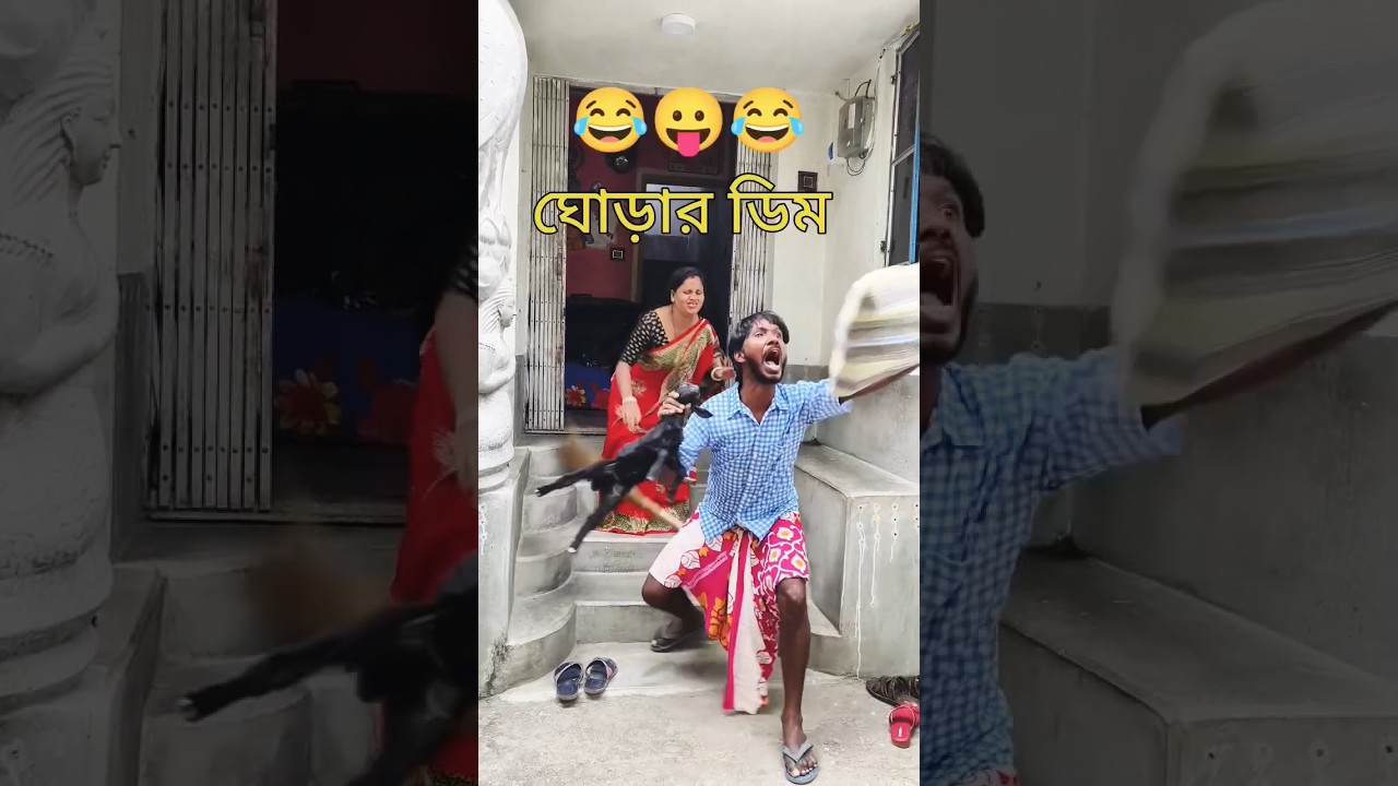 ঘোড়ার ডিম 😂🤣 || funny || shorts || Bengali || viral @comedyexpress1232