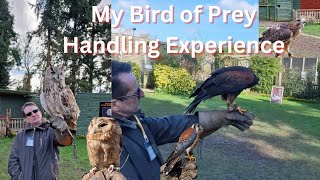 My Bird of Prey Handling Experience