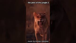 the jaws of the jungle 2 #music #beauty #nature #wildlife #jungle #jaws #animals #lion #leopard
