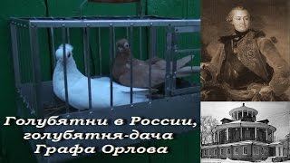 Голубятни в России, голуби турманы, голубятня-дача графа Орлова Голубятни в России, голуби турманы, голубятня-дача графа Орлова