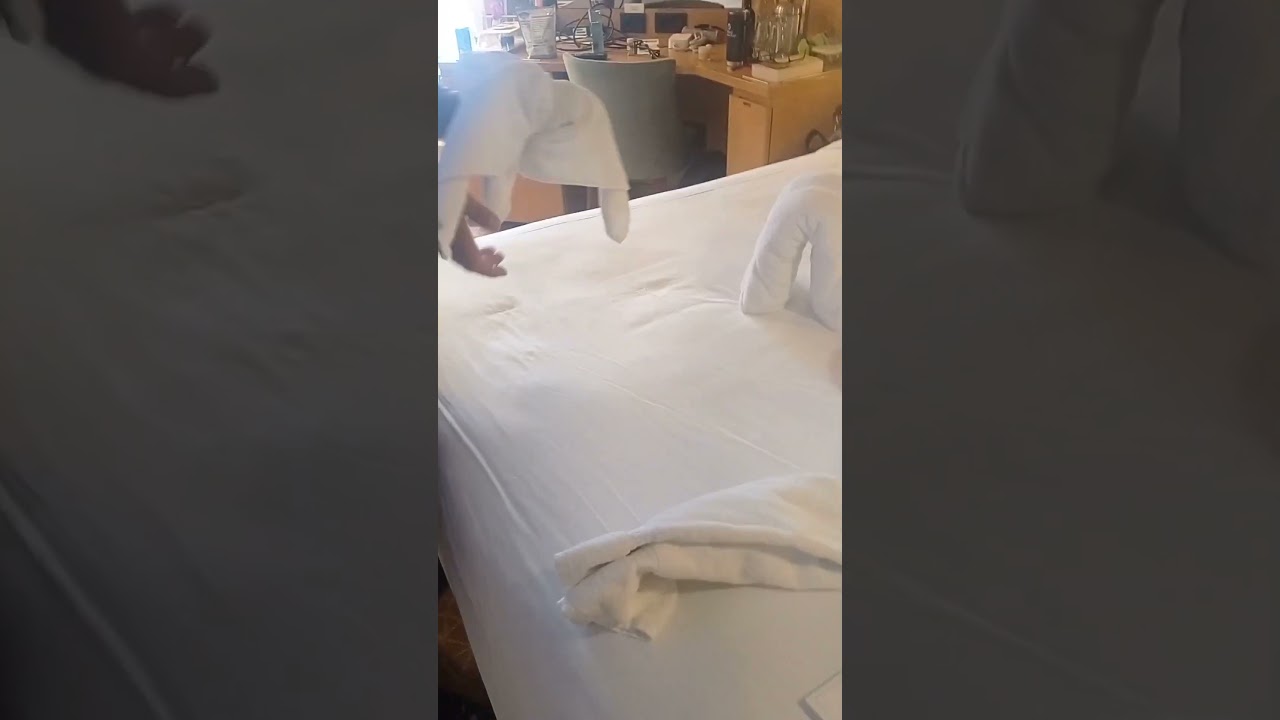 Kissing elephant🐘 