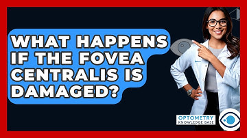 What Happens If The Fovea Centralis Is Damaged? - Optometry Knowledge Base