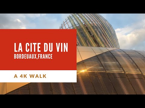 Video: Un ghid al Muzeului Vinului Cite du Vin din Bordeaux