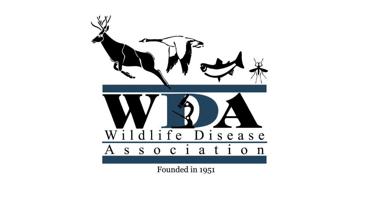Who is the Wildlife Disease Association (WDA)?