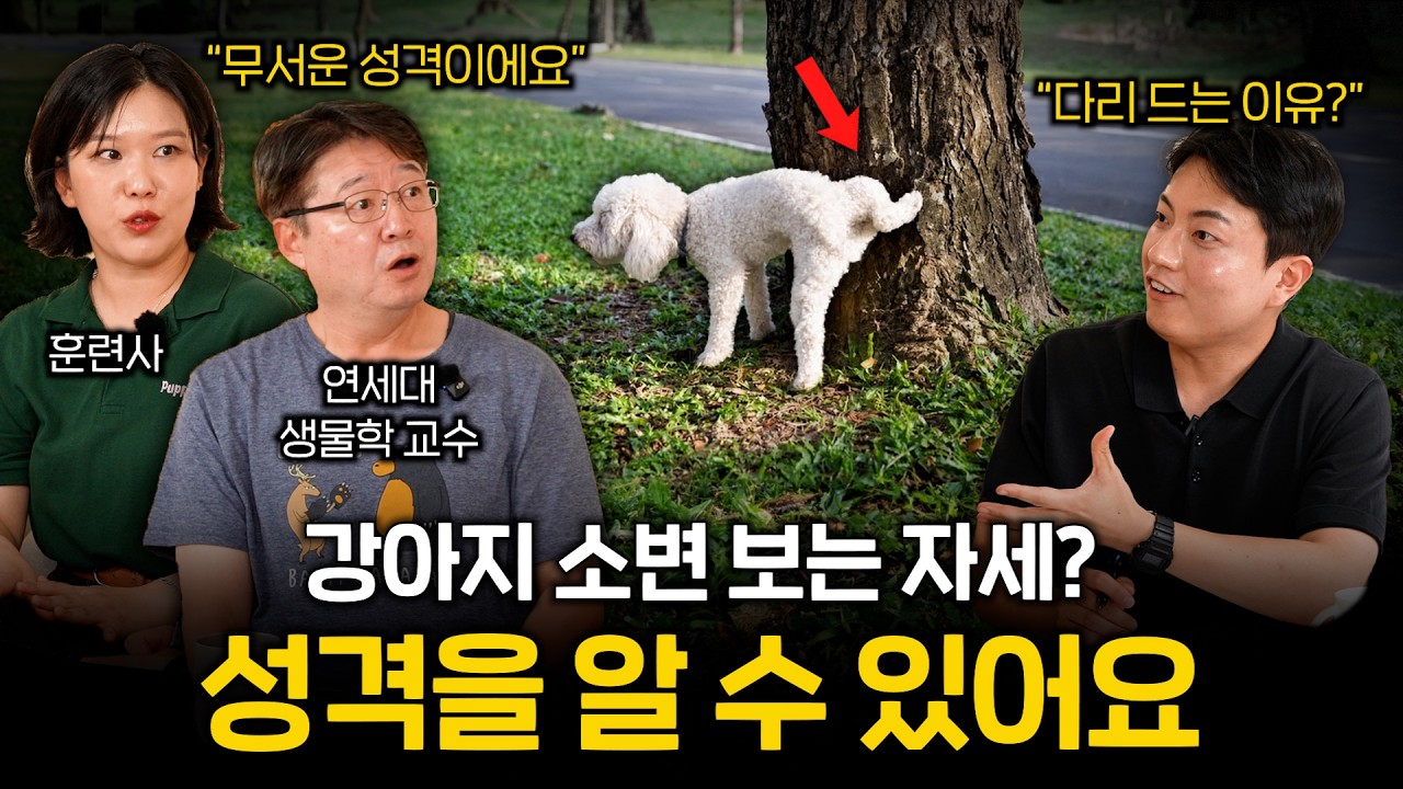 한쪽 다리 들고 쉬하는 강아지 특징 (엄청난 성격의 강아지입니다ㄷㄷ) | 멍터뷰 ep.108