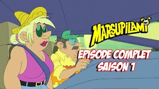 Le Marxupilami à la Rescousse de son Fils | EPISODE COMPLET 1-2 | Marsupilami en Français