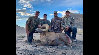 Desert Bighorn Sheep HuntKaiparowits