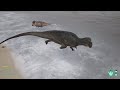 The Isle - Acrocanthosaurus on drugs